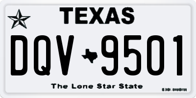 TX license plate DQV9501