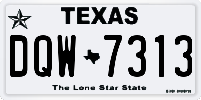 TX license plate DQW7313