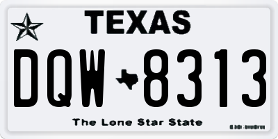TX license plate DQW8313