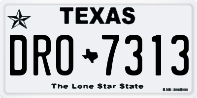 TX license plate DRO7313