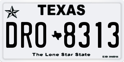 TX license plate DRO8313