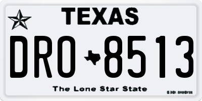 TX license plate DRO8513