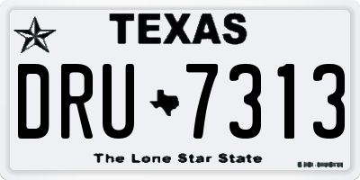 TX license plate DRU7313