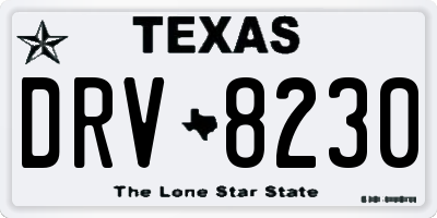 TX license plate DRV8230
