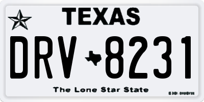 TX license plate DRV8231