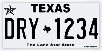 TX license plate DRY1234