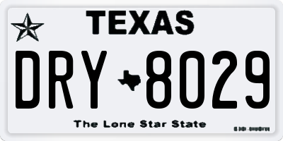 TX license plate DRY8029