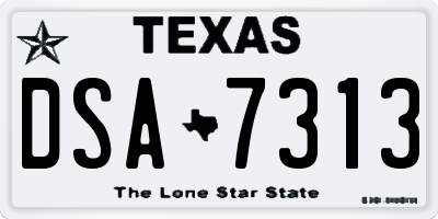 TX license plate DSA7313