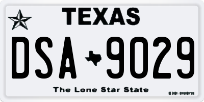 TX license plate DSA9029