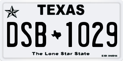 TX license plate DSB1029