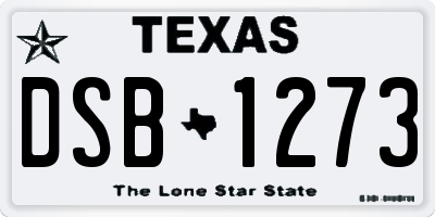 TX license plate DSB1273