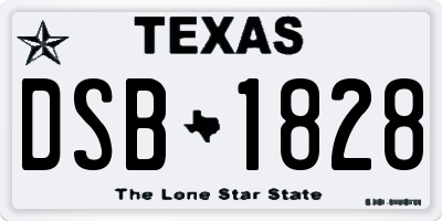 TX license plate DSB1828