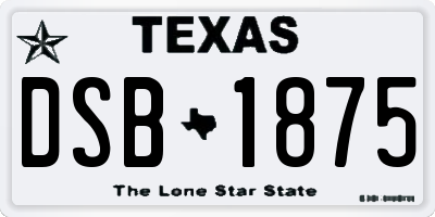 TX license plate DSB1875