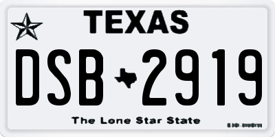 TX license plate DSB2919