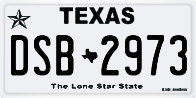TX license plate DSB2973
