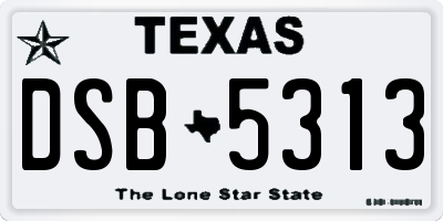 TX license plate DSB5313