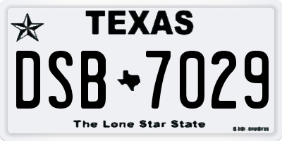 TX license plate DSB7029