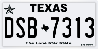 TX license plate DSB7313