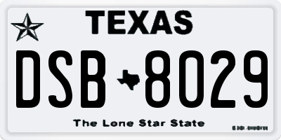 TX license plate DSB8029