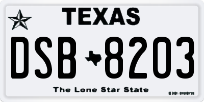 TX license plate DSB8203