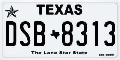 TX license plate DSB8313