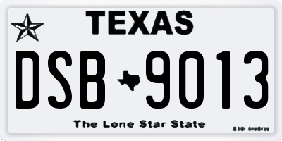 TX license plate DSB9013