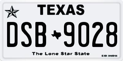 TX license plate DSB9028