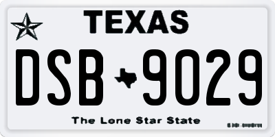 TX license plate DSB9029