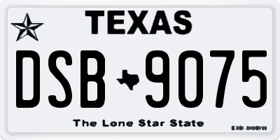 TX license plate DSB9075