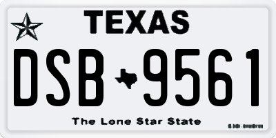 TX license plate DSB9561