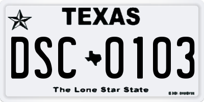 TX license plate DSC0103