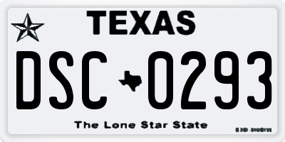 TX license plate DSC0293