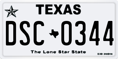 TX license plate DSC0344