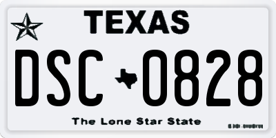 TX license plate DSC0828