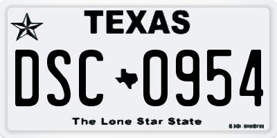 TX license plate DSC0954