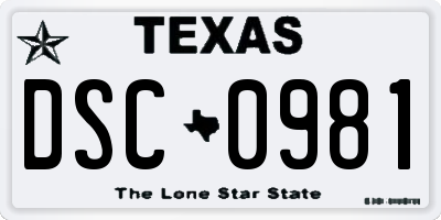 TX license plate DSC0981