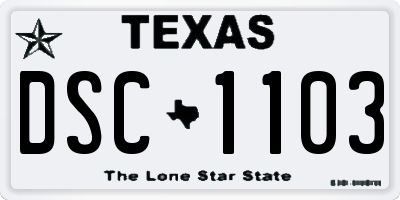 TX license plate DSC1103