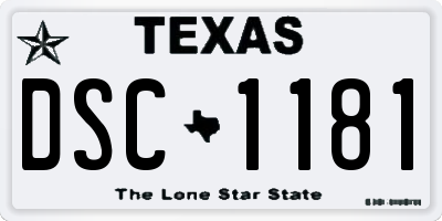 TX license plate DSC1181