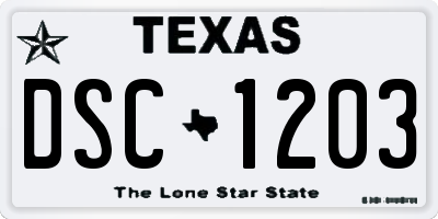 TX license plate DSC1203