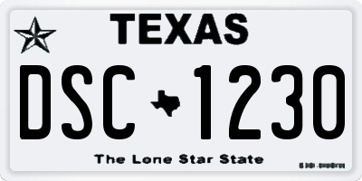TX license plate DSC1230