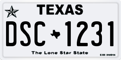TX license plate DSC1231