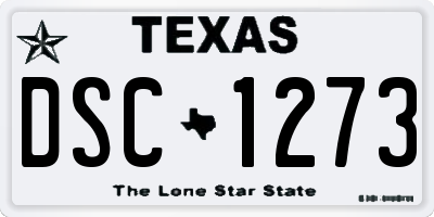 TX license plate DSC1273