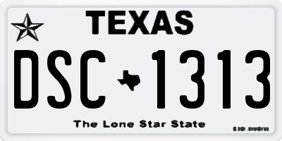 TX license plate DSC1313