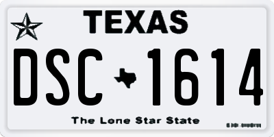 TX license plate DSC1614
