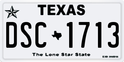 TX license plate DSC1713
