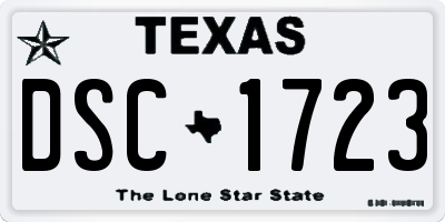 TX license plate DSC1723