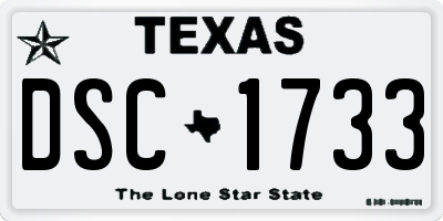 TX license plate DSC1733