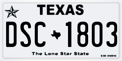 TX license plate DSC1803