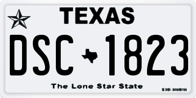 TX license plate DSC1823