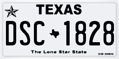 TX license plate DSC1828
